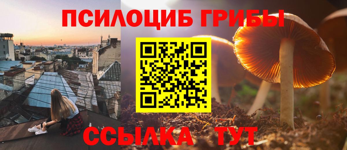 Псилоцибиновые грибы GOLDEN TEACHER  Псилоцибиновые грибы прущие грибы  Дивногорск  Вход с VPN 